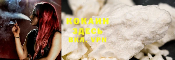 гашик Ельня
