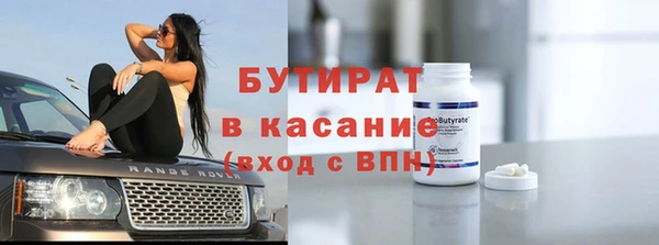 гашик Ельня