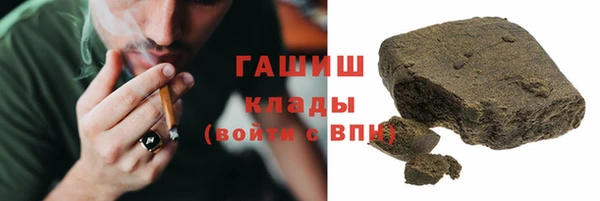 гашик Ельня