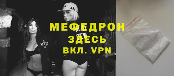 гашик Ельня