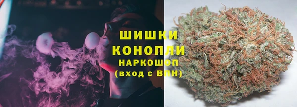 гашик Ельня