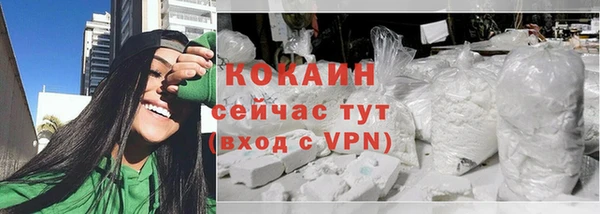 гашик Ельня